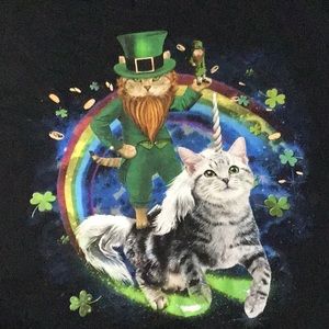 Weird cat shirt, leprechaun cat riding unicorn cat